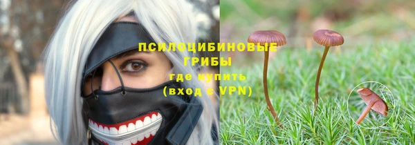 сатива Балахна