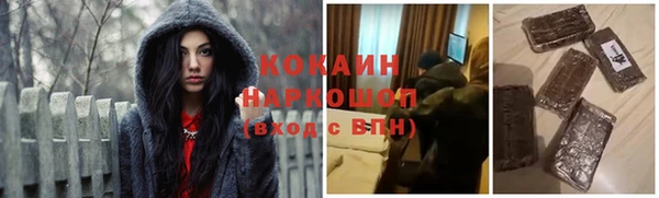 сатива Балахна